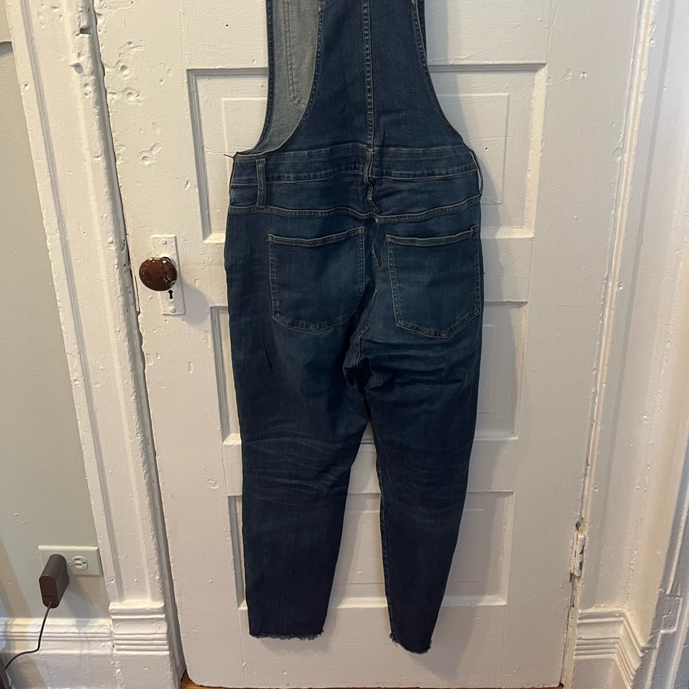 Madewell Skinny Overalls: Eco Edition - Picture 7 of 7